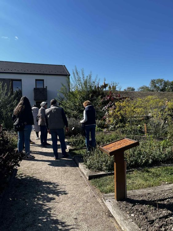 Felnőttképzés - Gyógynövénytermesztő gyakorlat