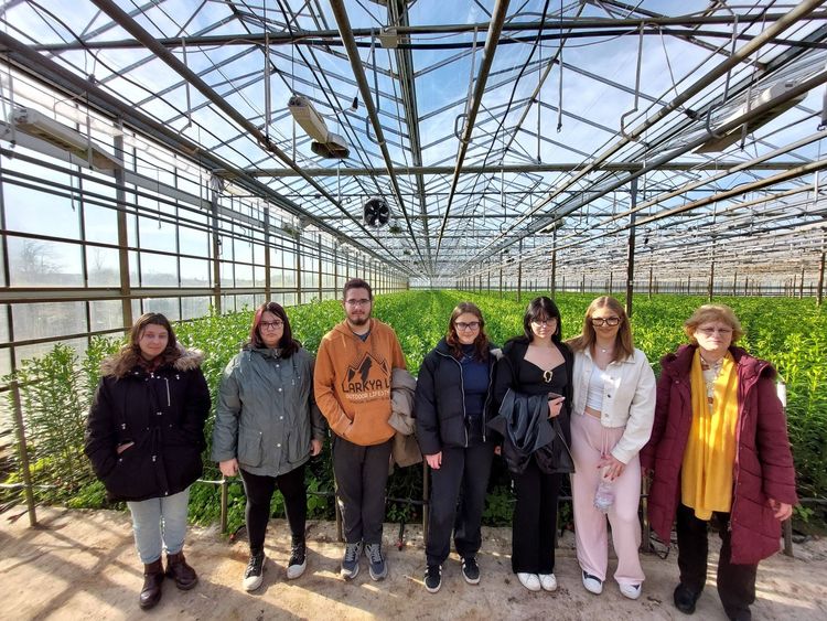 Eke Liliom Kertészet